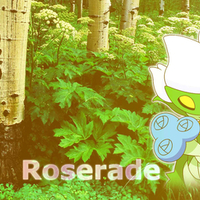 Roserade