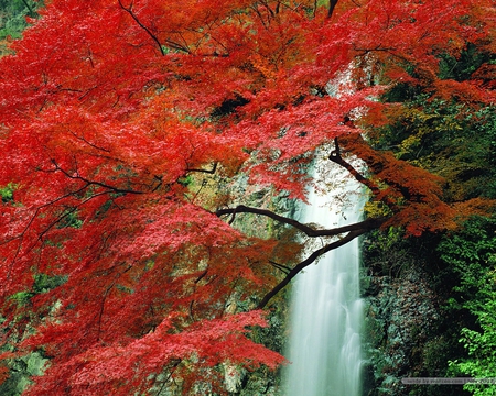 WATERFALL IN THE FALL - fall, trees, waterfall, rocks