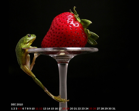 Frog and the Strawberry - fun, strawberry, glass, climbing, frog, animals, computer, other, fruit, red, amphibian, green, desktop, cute