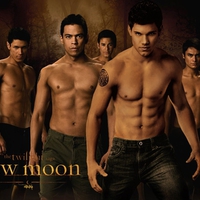 Wolf Pack of Twilight