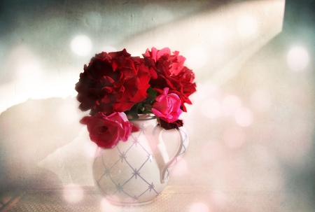 roses - roses, jag, still life, red