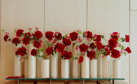 carnations - caranations, still life, red, vases