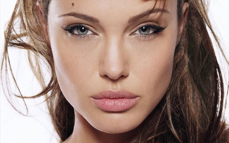 Angelina Jolie - face, brown, actress, gorgeous, girl, pretty, hair, model