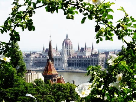 Hungarian Parlament - cupola, trees, white flowers, parlament, view, hungarian, plants, dome