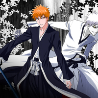 Ichigo and his Hollow