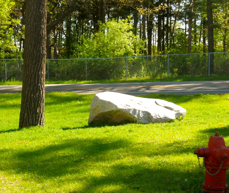 rock - sunlight, rock, firehydrant, grass, tree