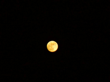 moon - orange moon, black, full moon, moon, perfect, night