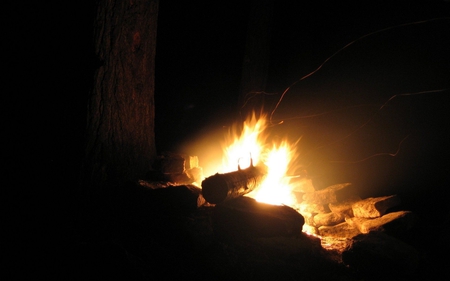 Fire at Night - at night, picture, fire, beautiful