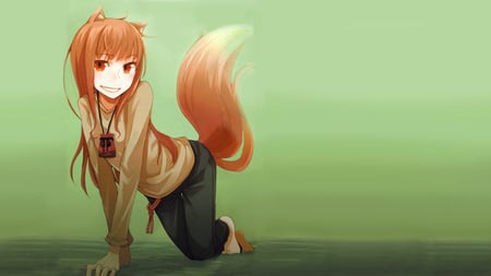 Holo - animal ears, spice and wolf, holo, brown hair, tail, red eyes, necklace, wolf ears, ayakura juu, wolf tail, horo