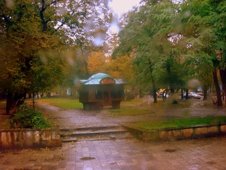 Autumn in Lvov - seasons, impression, park, autumn