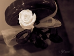 Wedding Rose