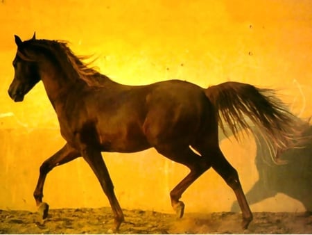 Burning horse power!(for Tony) - burning, pic, image, wallpaper, power, picture, yellow, horse, colours, wall, animal