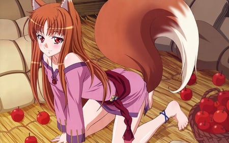 spice and wolf appels - sexy, wolf, appels, hot