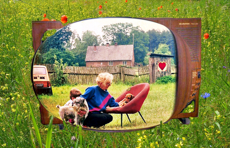 Memories - old tv set, summer, dogs, country side