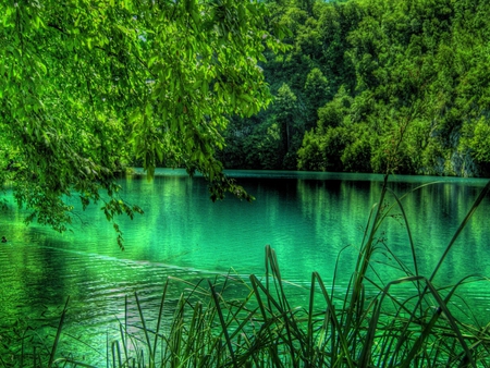 lake of green - water, nature, green, photography, beauty, lake, wet, reflection