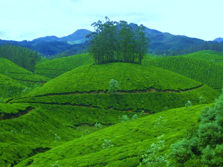 How to Reach munnar