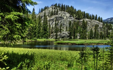 Evergreen Mountain - trees, evergreens, blue, pond, rock, grass, mountain, river, green, sky