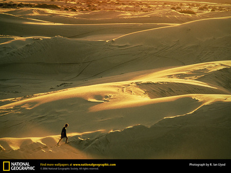 indian desert wallpaper - pepsi, nat geo