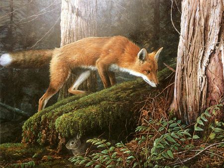 fox - trees, fox, painting, forest, art