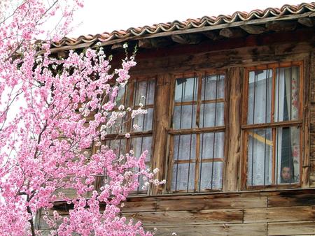 pink and wooden - house