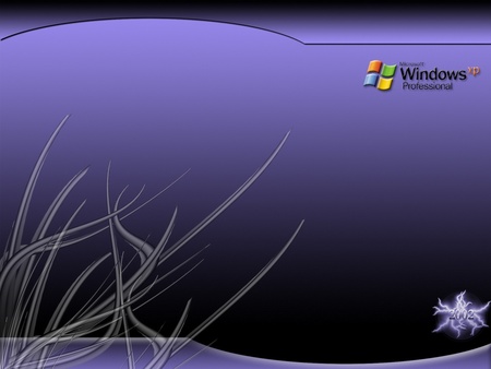 windows xp  - windows-xp-