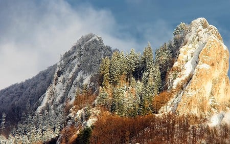 Bradla Biele Karpaty - trees, forest, mountains, biele karpaty, slovakia