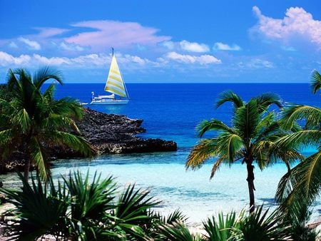 Harbour Island  Bahamas - palms, beach, ship, boat, island, ocean, tropical, bahamas, sailboat, paradise, sky