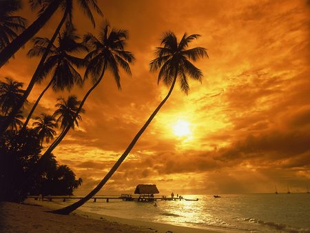 pigeon point at sunset Tobago - hut, sky, beach, trees, sun, sunset, yellow, reflection, clouds, setting, point, dusk, beachview, ocean, day, palms, tropical, nature, pigeon, tobago, island