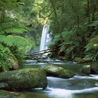 hopetoun falls aire river Otway