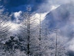 chinese snowscape 