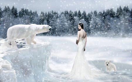 polar bears and girl