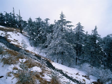 chinese snowscape 12 - snowscape