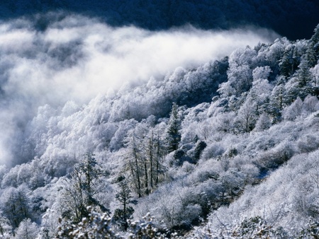 chinese snowscape  - chinese-snowscape-