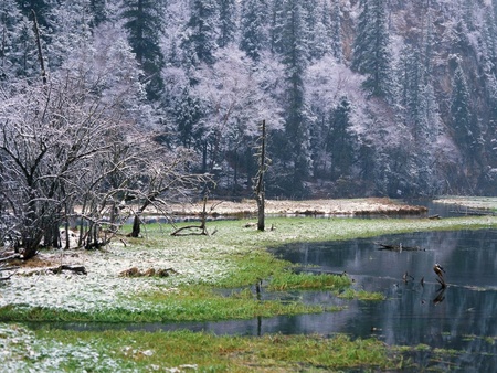 chinese snowscape  - chinese-snowscape-