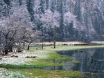 chinese snowscape 