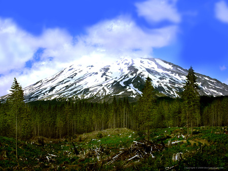 Mount Saint Helens - mount saint helens mountain