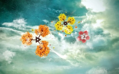 All Falls Down !!! - abstract, yellow, photography, wds, flower, orange, widescreen, cloud, falldown, sky