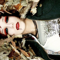 VAMPIRE