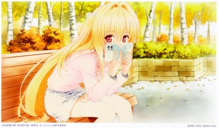 To love ru - red eyes, blonde hair, long hair, yami, book, dress