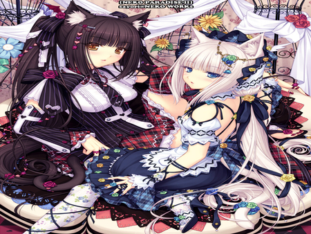 chocolat and Vanilla - chocolat and vanilla, neko, female, heart, dress, nekomimi, sweet, vanilla, chocolat, cute, cake, anime girls