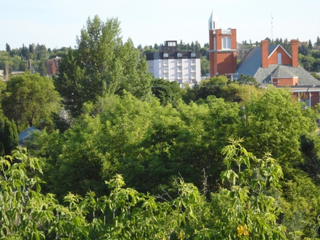 July, view from balcony - july, balcony, view, from