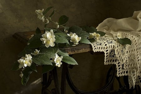 still life - beauty, nice, jasmine, photography, bouquet, still life, cool, pretty, lace, sewing machine, old, harmony, lovely, beautiful, flowers, photo, flower, elegantly