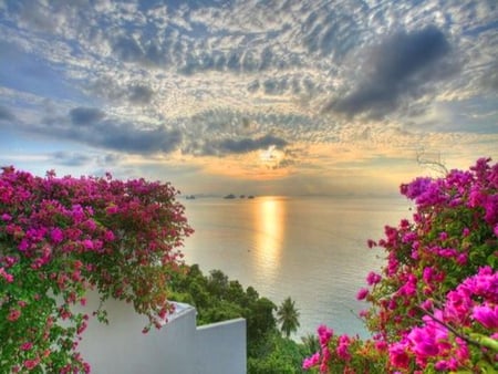 Floral beach - clouds, reflections, blue, ocean, pink, flowers, grey, sunset, green, wall