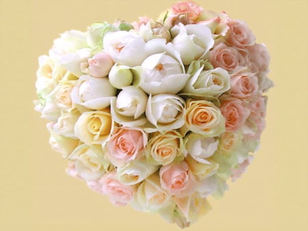 Love and  roses - white, heart shape, yellow, roses, pink