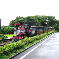 Forest train