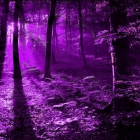 PURPLE FOREST