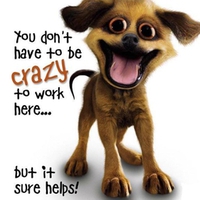 crazy gog