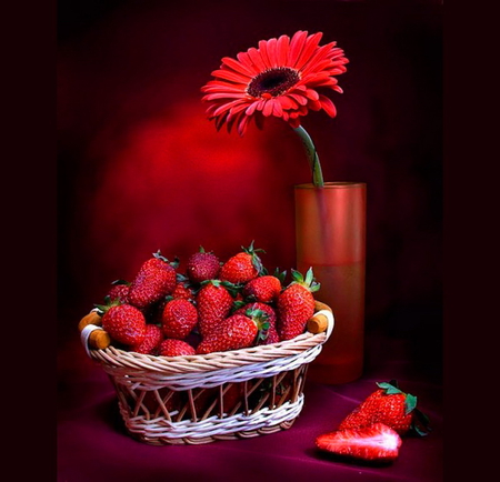 Gerber and berries - strawberries, red, light, bowl, black, gerber