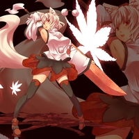 Touhou Foxy