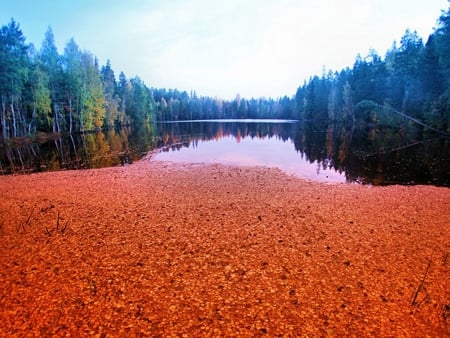 Autumn_Mood - picture, beautiful, autumn, in lake, leaves